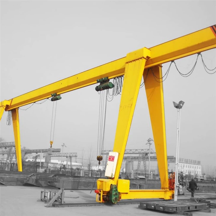 Cantry Gantry Crane per il progetto