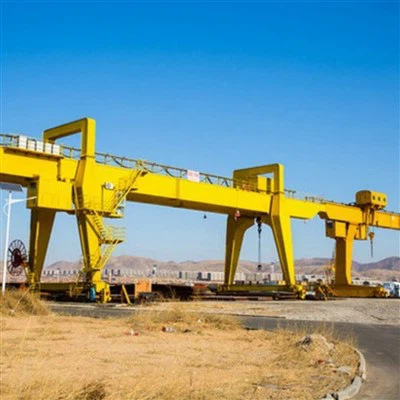 Gantry Crane con cantilever